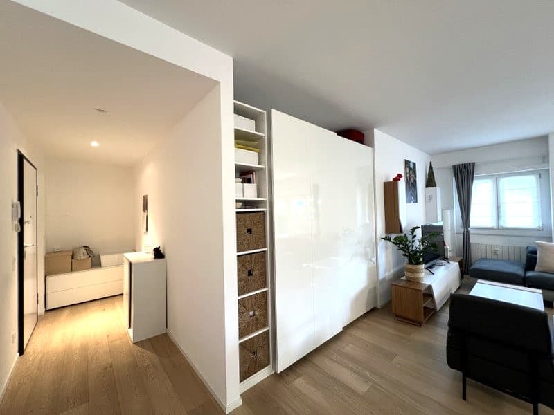 MODERN 2.5 ROOMS APARTMENT, CLOSE TO THE CITY CENTER
