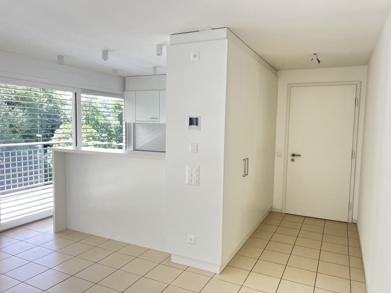 3.5-ROOM APARTMENT WITH LARGE TERRACE, IN THE GREEN LANDSCAPE