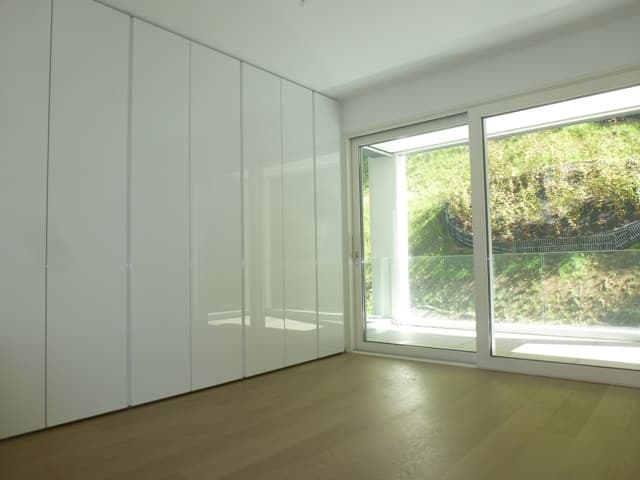 3.5 ROOM APARTMENT WITH MAGNIFICENT LAKE VIEW