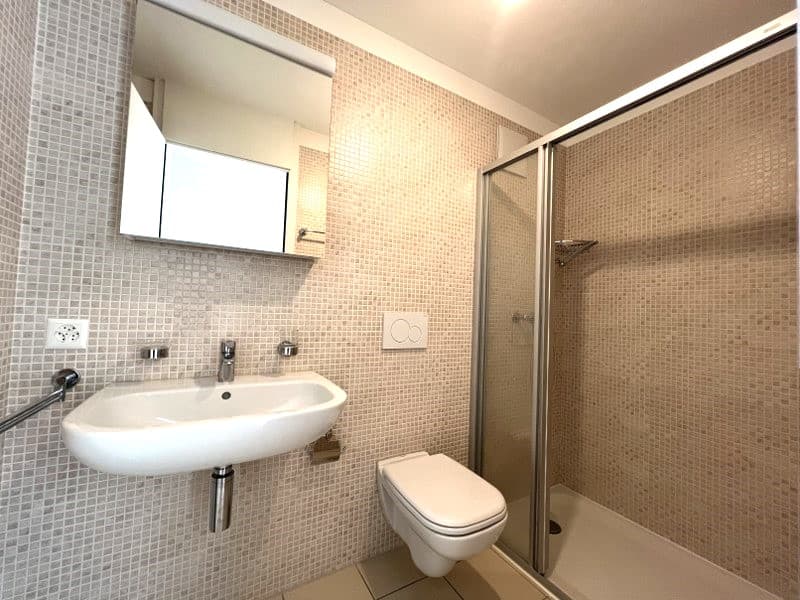 3.5-ROOM APARTMENT WITH LARGE TERRACE, IN THE GREEN LANDSCAPE