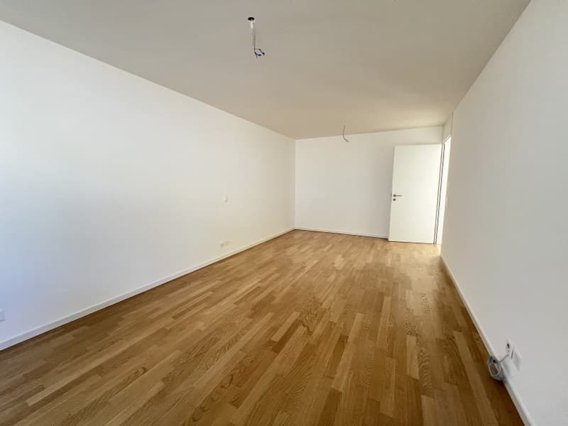 3.5-ROOM APARTMENT WITH LARGE TERRACE, IN THE GREEN LANDSCAPE