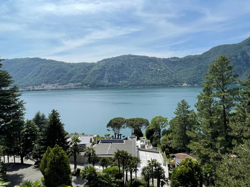  RENOVATED 2.5 ROOM APARTMENT, LOVELY LAKE VIEW