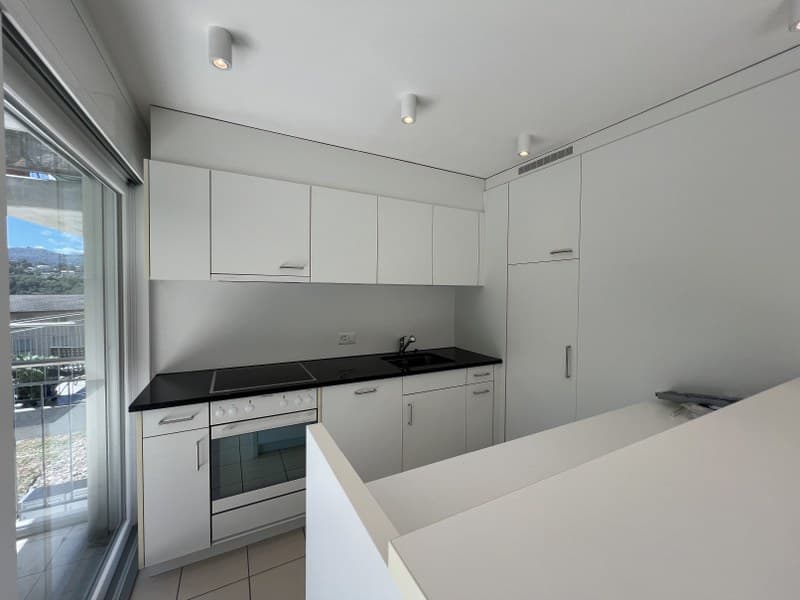 3.5-ROOM APARTMENT WITH LARGE TERRACE, IN THE GREEN LANDSCAPE