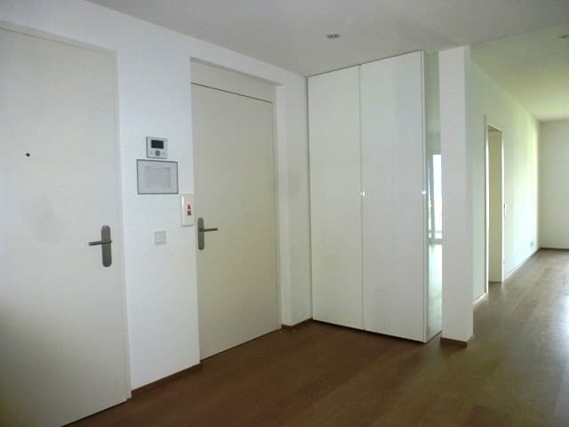 3.5 ROOM APARTMENT WITH MAGNIFICENT LAKE VIEW