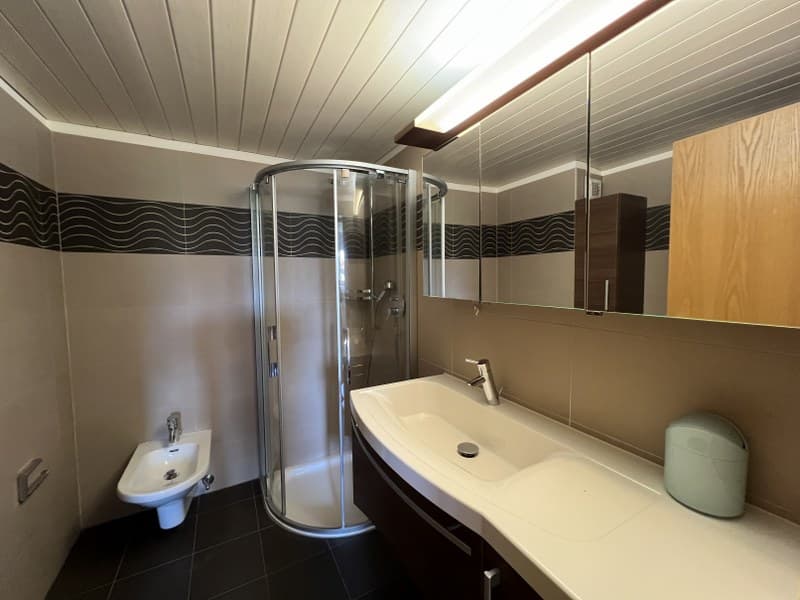 SPACIOUS 3.5 ROOMS WITH BEAUTIFUL LAKE VIEW