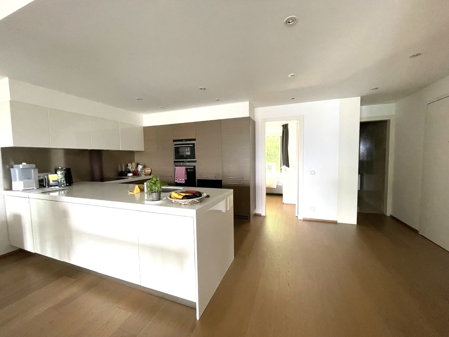 3.5 ROOM APARTMENT WITH MAGNIFICENT LAKE VIEW