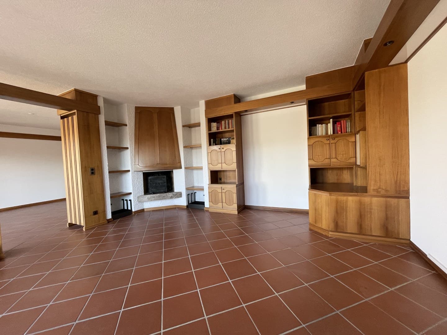 6.5 ROOM APARTMENT WITH LARGE TERRACE AND GARDEN