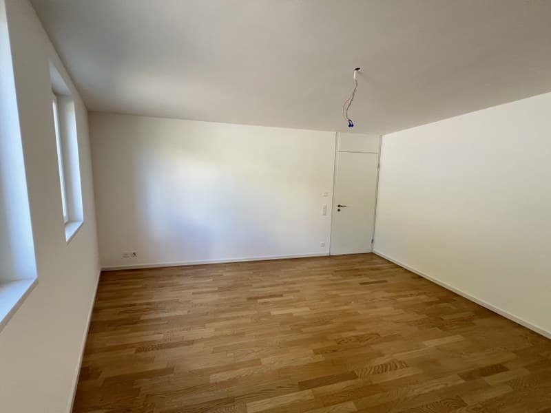 3.5-ROOM APARTMENT WITH LARGE TERRACE, IN THE GREEN LANDSCAPE