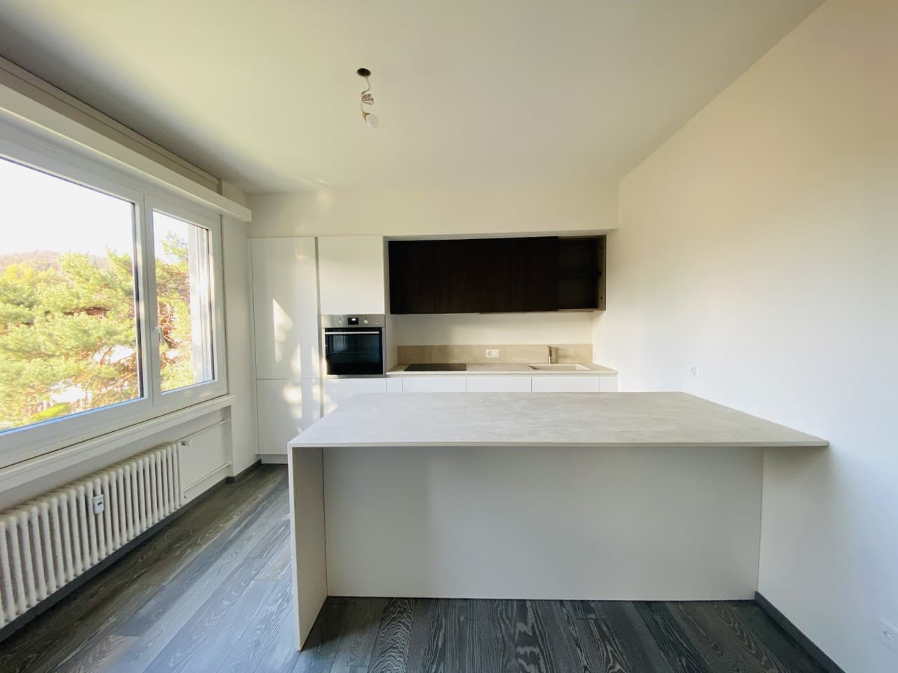 FULLY RENOVATED 4.5 APARTMENT - TOP FLOOR