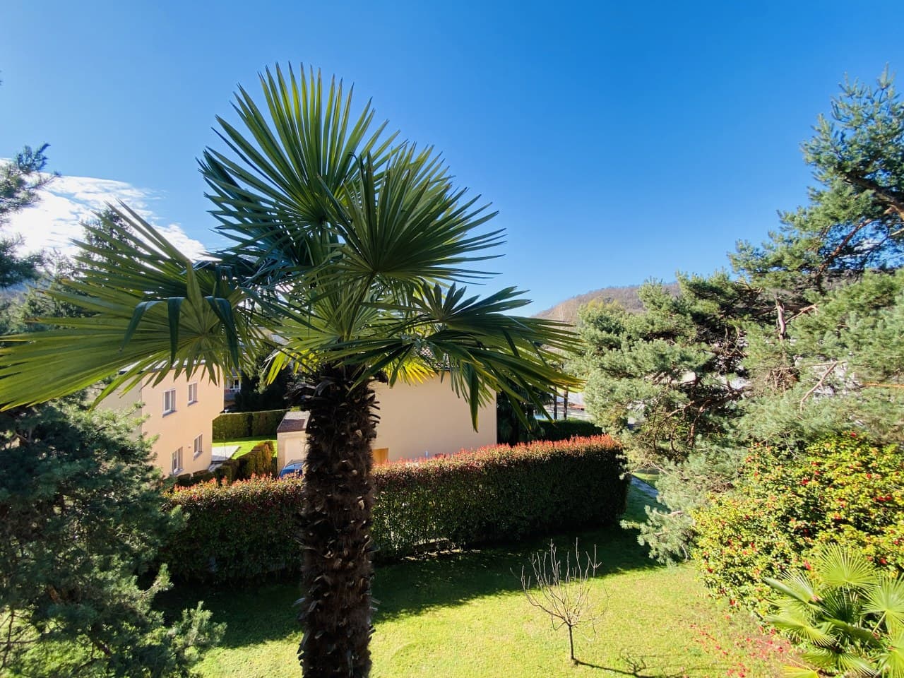 4.5-ROOM RENOVATED APARTMENT - IN BUILDING WITH CONDOMINIUM SWIMMING POOL
