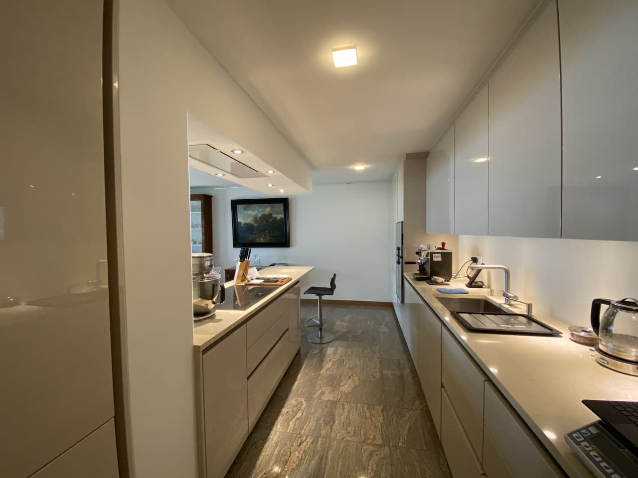 LUXURIOUS 4.5 ROOMS APARTMENT WITH LAKE VIEW