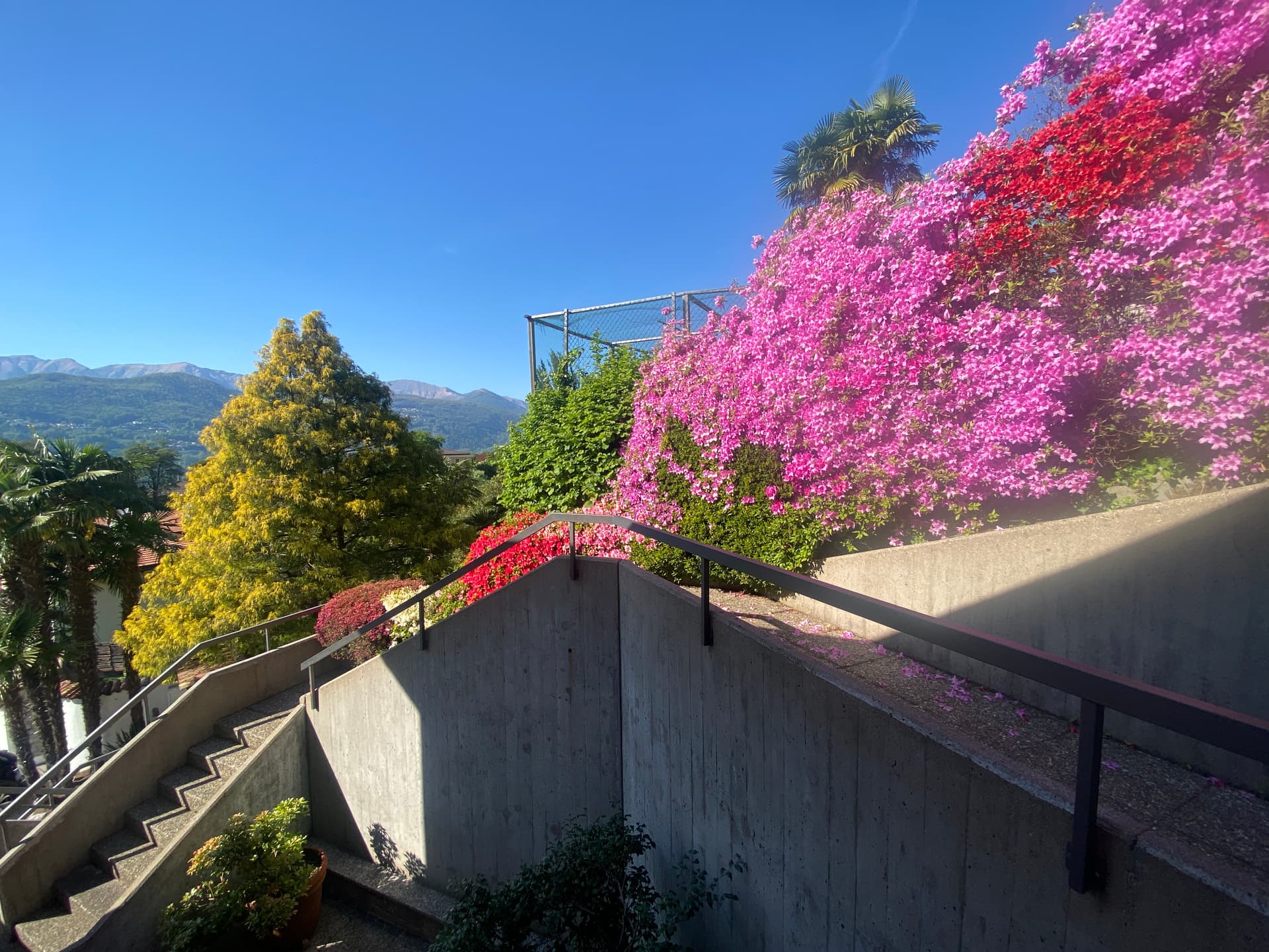 CASA BIFAMILIARE CON VISTA APERTA A MONTAGNOLA