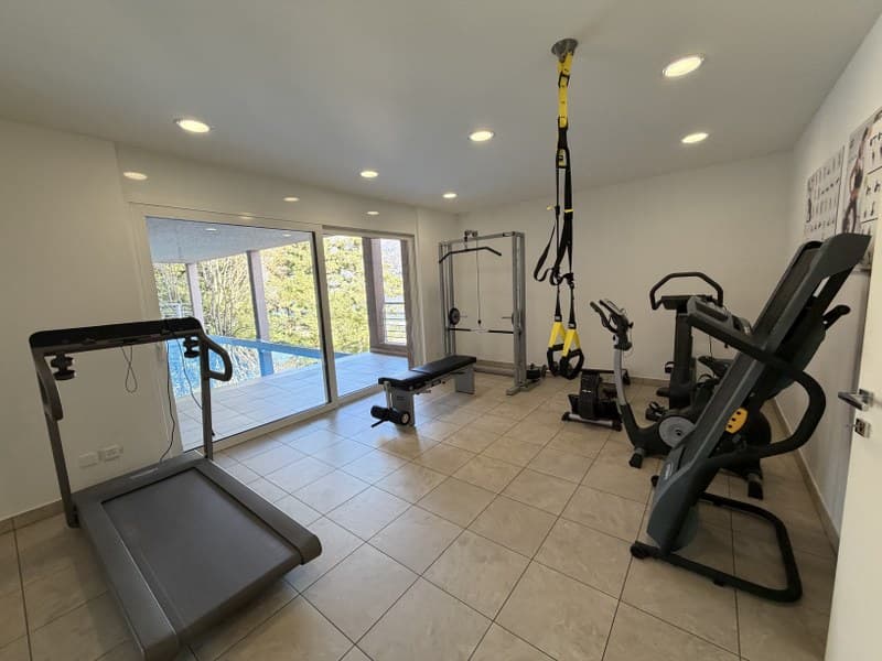 3.5-ROOM PENTHOUSE WITH A BEAUTIFUL TERRACE OVERLOOKING THE LAKE