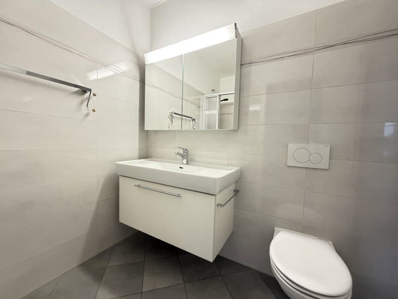 APPARTAMENTO ATTICO 5.5 LOCALI CON TERRAZZA E VISTA APERTA