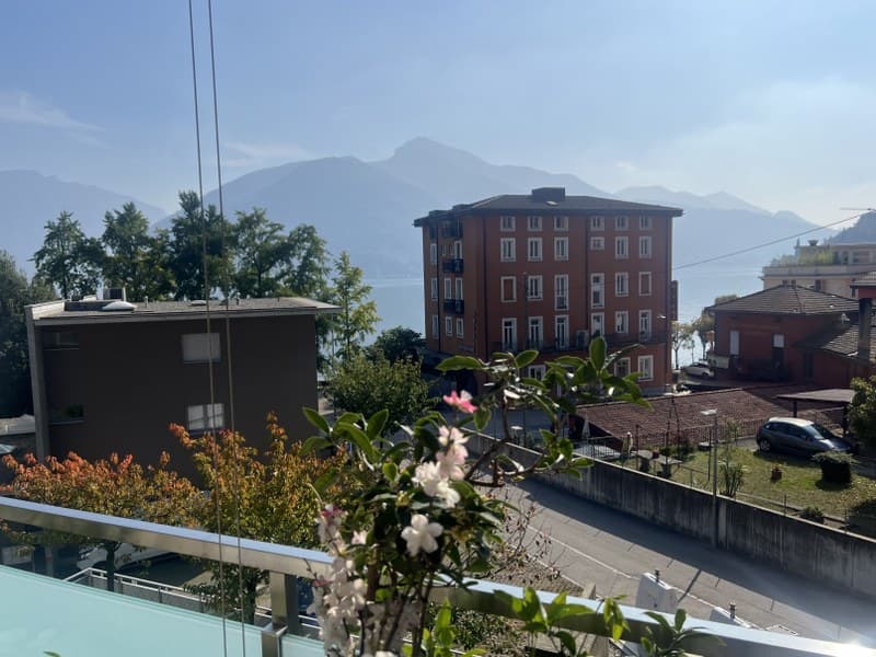  ELEGANT PENTHOUSE, LARGE SUNNY TERRACE WITH LAKE VIEW