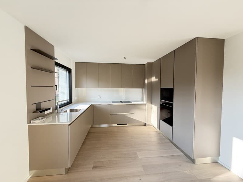 4.5-ROOM PENTHOUSE APARTMENT WITH LAKE VIEW IN ELEGANT BUILDING