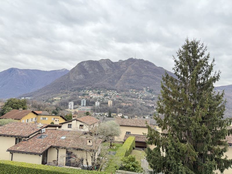 APPARTAMENTO ATTICO 5.5 LOCALI CON TERRAZZA E VISTA APERTA