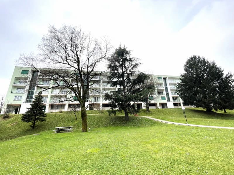 LUMINOSO DUPLEX DI 4.5 LOCALI CON BALCONI E VISTA APERTA SULLE COLLINE CIRCOSTANTI.