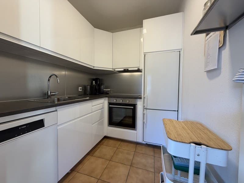 ELEGANTE E COMODO 2.5 LOCALI, DIRETTAMENTE FRONTE LAGO