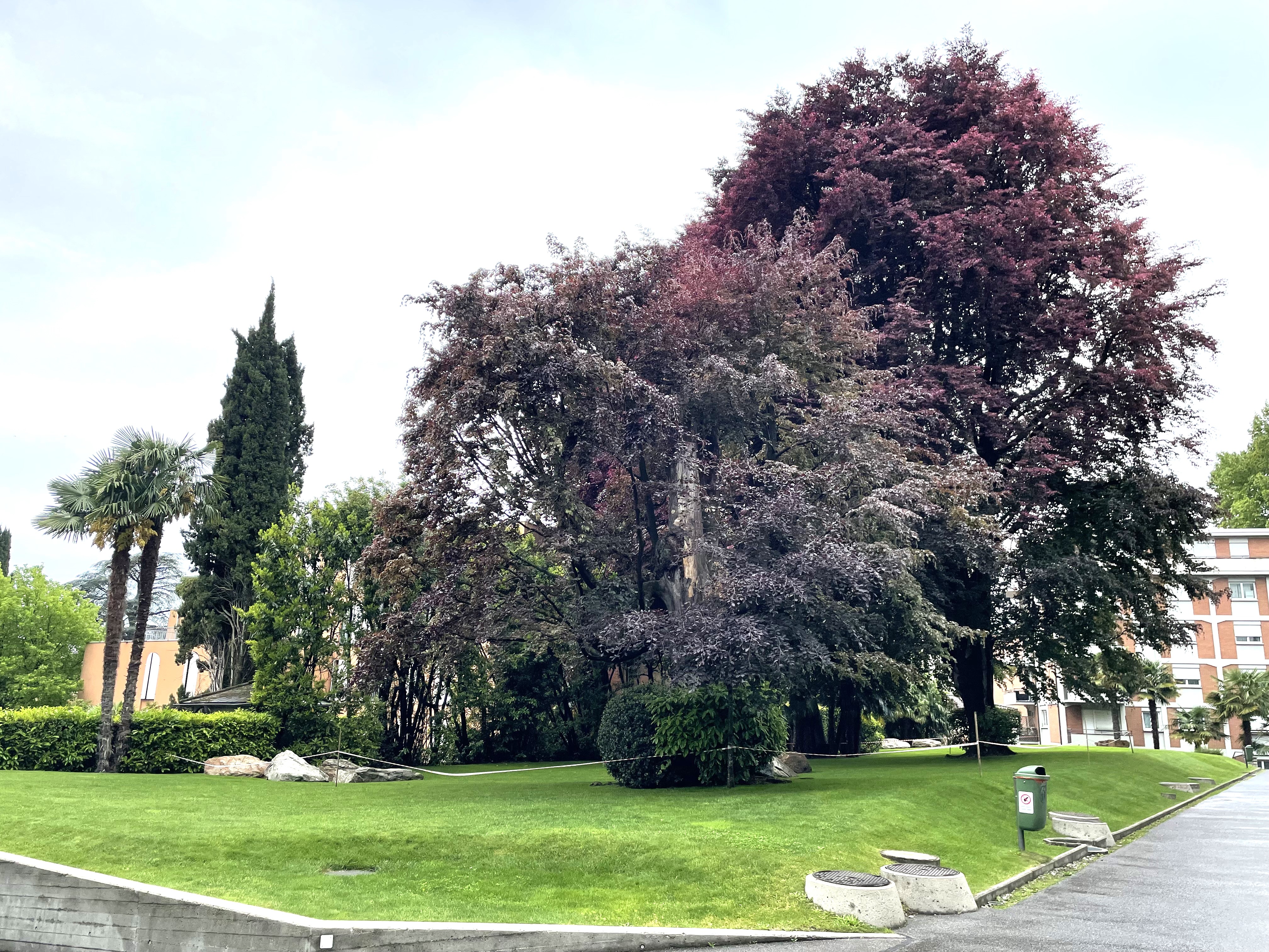 APPARTAMENTO ARREDATO 3.5 LOCALI CON GIARDINO PRIVATO