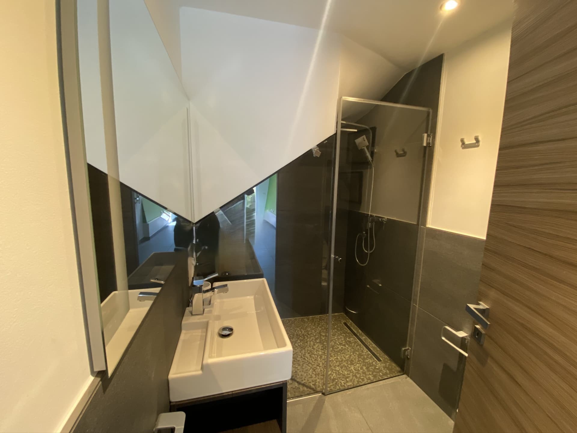 BRIGHT FAMILY HOME WITH TWO APARTMENTS