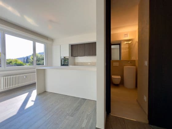 RENOVATED 4.5 ROOMS APARTMENT WITH SHARED SWIMMING POOL