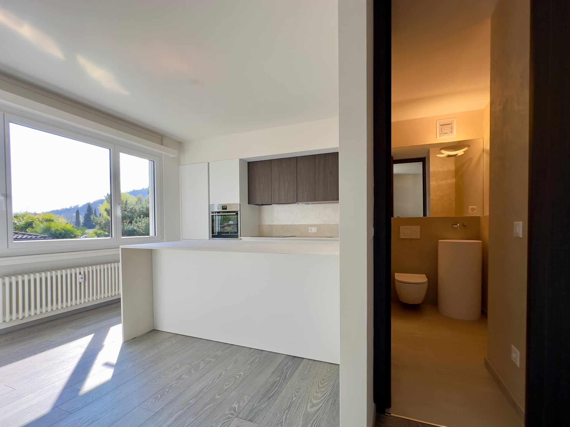 FULLY RENOVATED 4.5 APARTMENT - TOP FLOOR